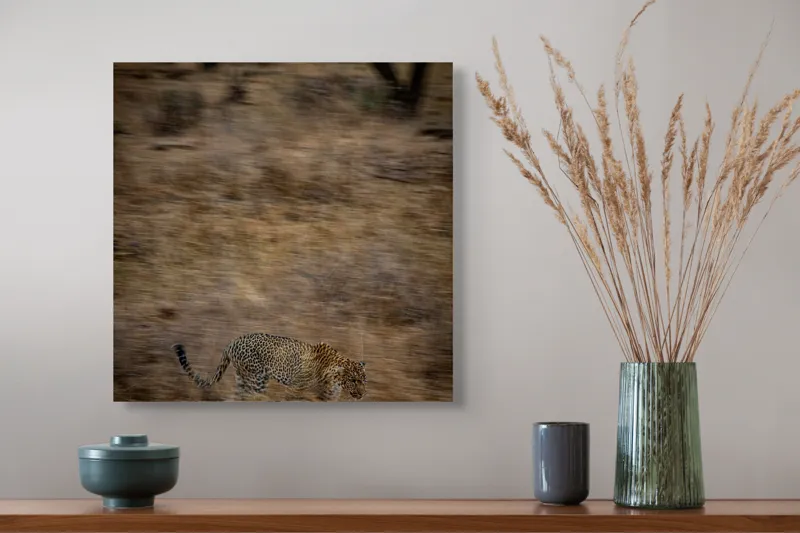 Tablou Canvas, "Leopard în goana prin savană", Leopard, Viteză, Pădure, Precizie, Camuflaj, Agilitate, Eleganță, Sălbăticie, 50 x 50 cm – poza 4
