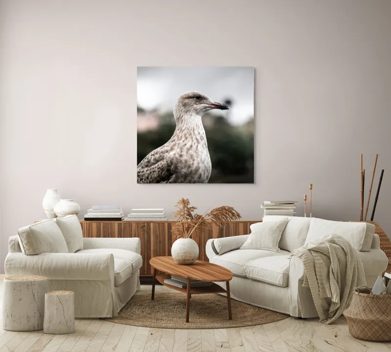 Tablou Canvas, "Pescărușul solitar sub cer înnorat", Pene, Curiozitate, Cer, Natură, Grijă, 100 x 100 cm – poza 3