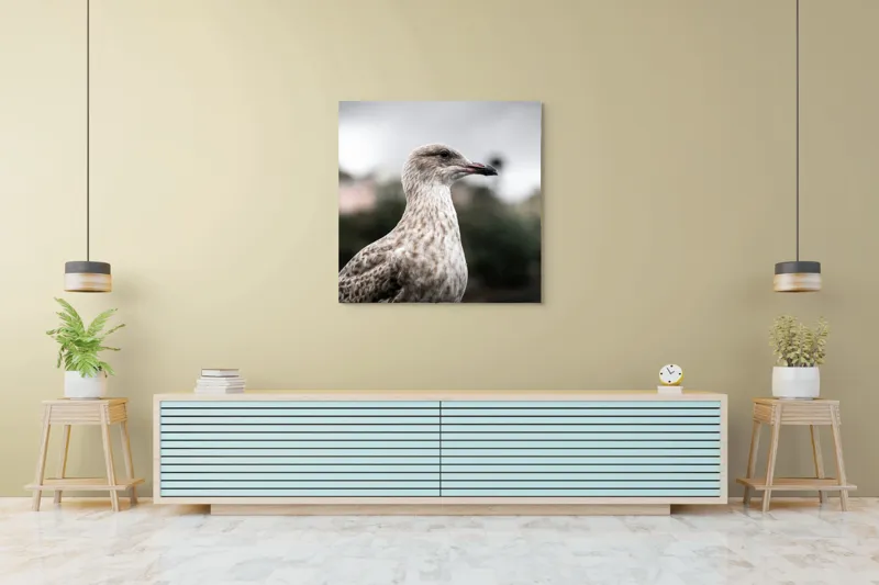 Tablou Canvas, "Pescărușul solitar sub cer înnorat", Pene, Curiozitate, Cer, Natură, Grijă, 100 x 100 cm – poza 5