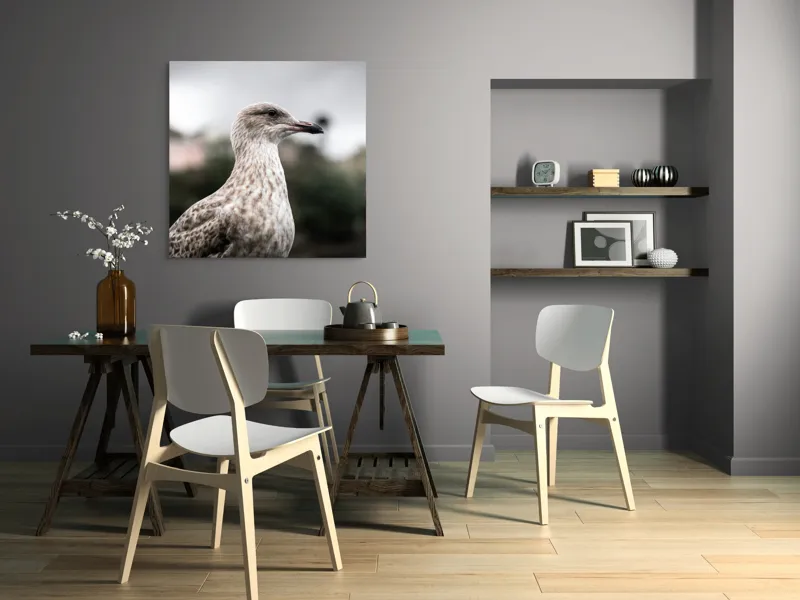 Tablou Canvas, "Pescărușul solitar sub cer înnorat", Pene, Curiozitate, Cer, Natură, Grijă, 100 x 100 cm – poza 6