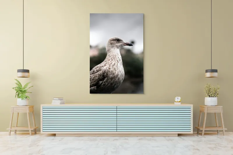 Tablou Canvas, "Pescărușul solitar sub cer înnorat", Pene, Curiozitate, Cer, Natură, Grijă, 100 x 150 cm – poza 4
