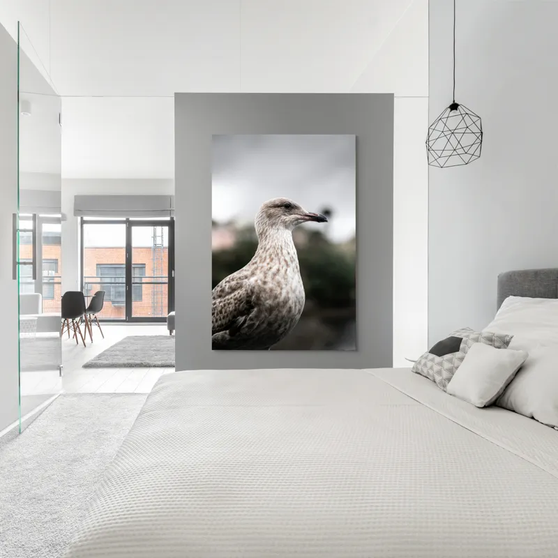 Tablou Canvas, "Pescărușul solitar sub cer înnorat", Pene, Curiozitate, Cer, Natură, Grijă, 100 x 150 cm – poza 5
