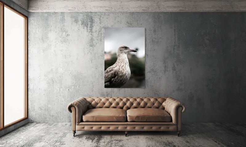 Tablou Canvas, "Pescărușul solitar sub cer înnorat", Pene, Curiozitate, Cer, Natură, Grijă, 100 x 150 cm – poza 6