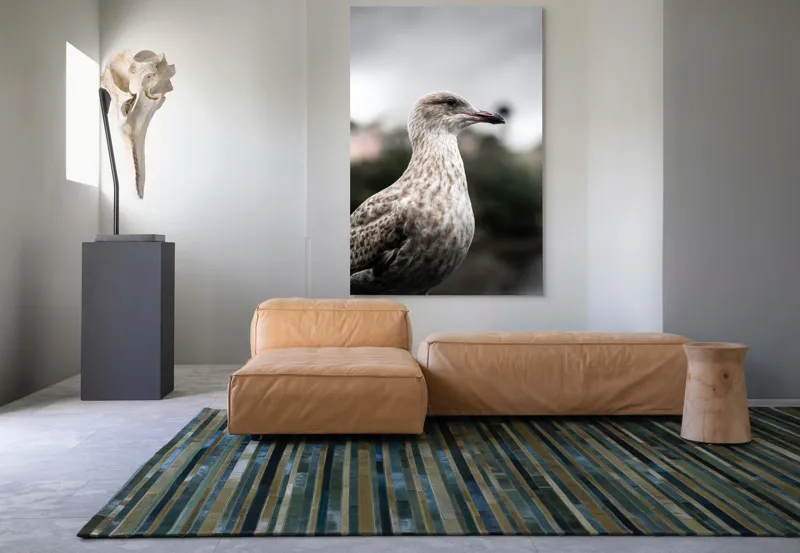 Tablou Canvas, "Pescărușul solitar sub cer înnorat", Pene, Curiozitate, Cer, Natură, Grijă, 100 x 150 cm – poza 7
