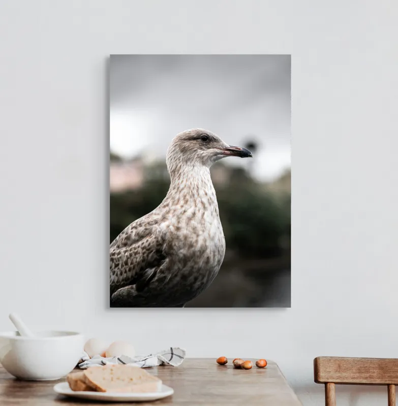 Tablou Canvas, "Pescărușul solitar sub cer înnorat", Pene, Curiozitate, Cer, Natură, Grijă, 50 x 70 cm – poza 3