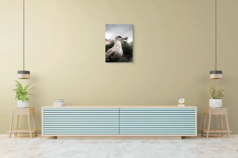 Tablou Canvas, "Pescărușul solitar sub cer înnorat", Pene, Curiozitate, Cer, Natură, Grijă, 50 x 70 cm – poza 6