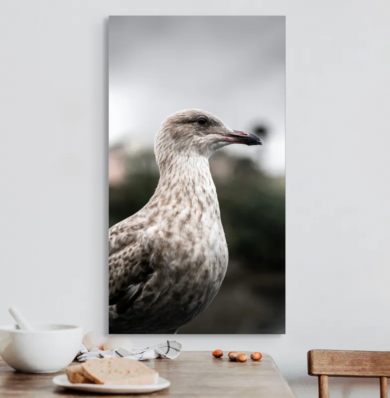 Tablou Canvas, "Pescărușul solitar sub cer înnorat", Pene, Curiozitate, Cer, Natură, Grijă, 50 x 90 cm – poza 3