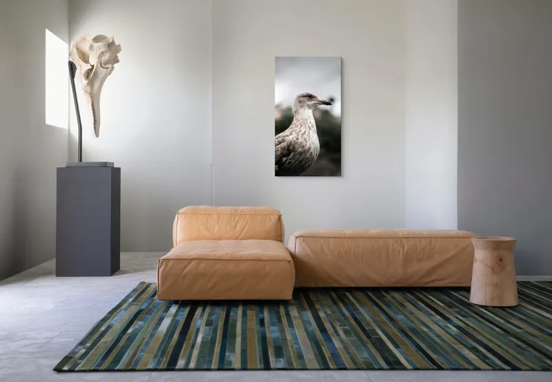 Tablou Canvas, "Pescărușul solitar sub cer înnorat", Pene, Curiozitate, Cer, Natură, Grijă, 50 x 90 cm – poza 5
