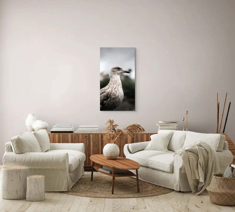 Tablou Canvas, "Pescărușul solitar sub cer înnorat", Pene, Curiozitate, Cer, Natură, Grijă, 50 x 90 cm – poza 7