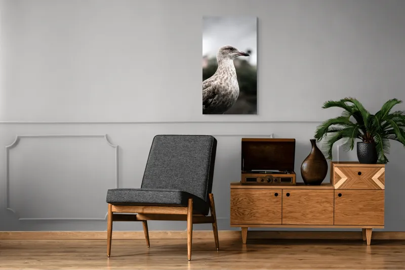Tablou Canvas, "Pescărușul solitar sub cer înnorat", Pene, Curiozitate, Cer, Natură, Grijă, 50 x 90 cm – poza 8
