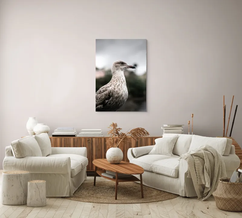 Tablou Canvas, "Pescărușul solitar sub cer înnorat", Pene, Curiozitate, Cer, Natură, Grijă, 70 x 100 cm – poza 4