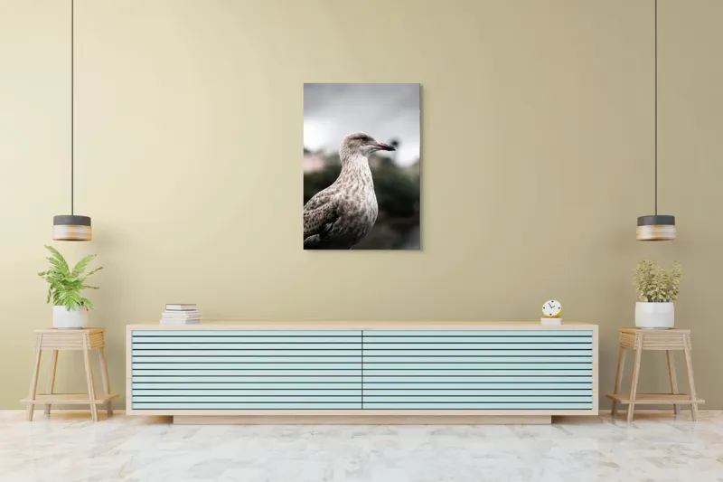 Tablou Canvas, "Pescărușul solitar sub cer înnorat", Pene, Curiozitate, Cer, Natură, Grijă, 70 x 100 cm – poza 5