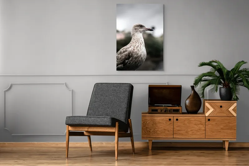 Tablou Canvas, "Pescărușul solitar sub cer înnorat", Pene, Curiozitate, Cer, Natură, Grijă, 70 x 100 cm – poza 6