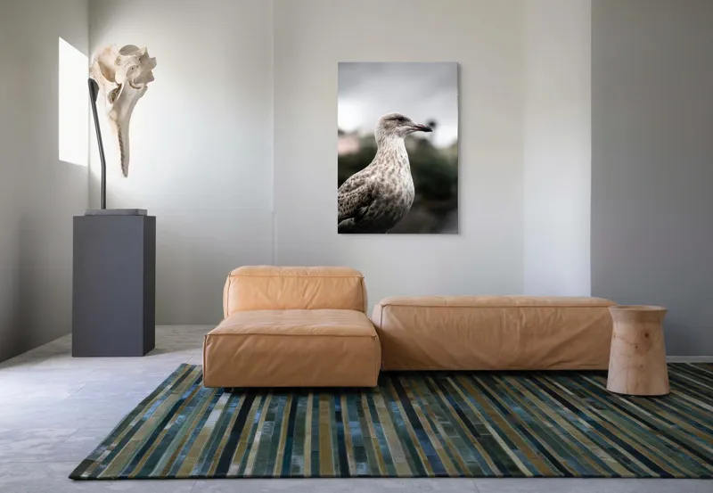 Tablou Canvas, "Pescărușul solitar sub cer înnorat", Pene, Curiozitate, Cer, Natură, Grijă, 70 x 100 cm – poza 7