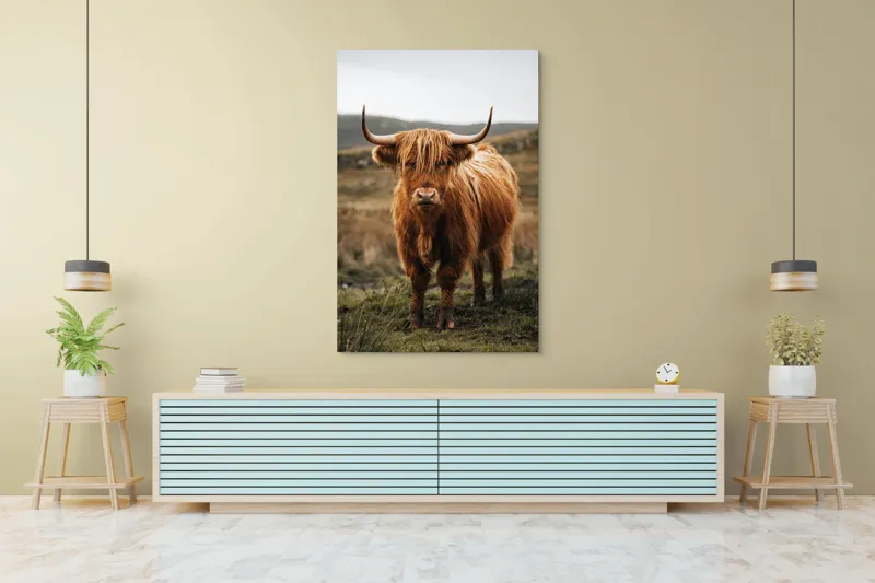 Tablou Canvas, "Boul în ceață pe coline verzi", Vaci, Dealuri, Blană, Coarne, Pășune, Natură, Cer, Animale, Peisaj, Rurale, 100 x 150 cm – poza 4