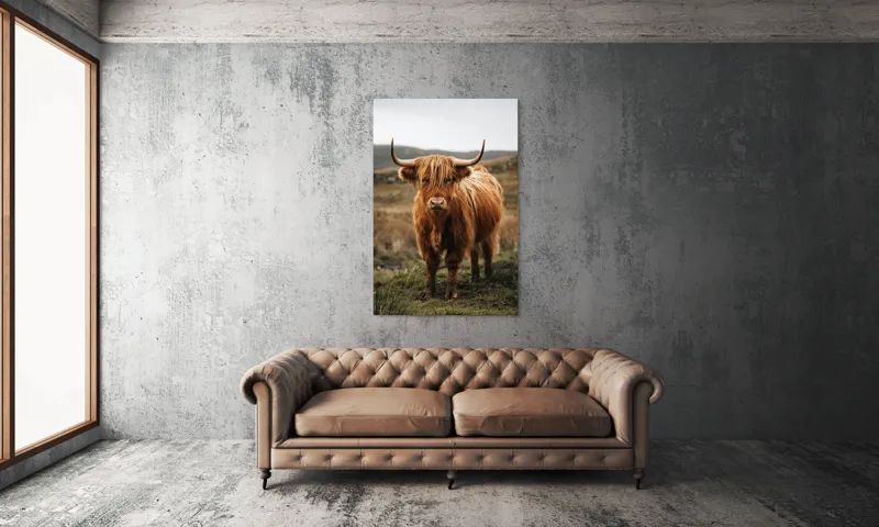 Tablou Canvas, "Boul în ceață pe coline verzi", Vaci, Dealuri, Blană, Coarne, Pășune, Natură, Cer, Animale, Peisaj, Rurale, 100 x 150 cm – poza 6