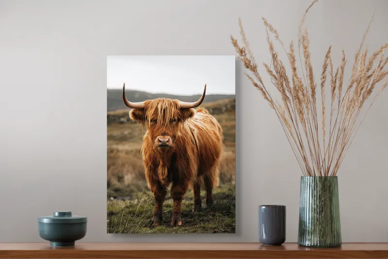 Tablou Canvas, "Boul în ceață pe coline verzi", Vaci, Dealuri, Blană, Coarne, Pășune, Natură, Cer, Animale, Peisaj, Rurale, 39 x 54 cm – poza 3