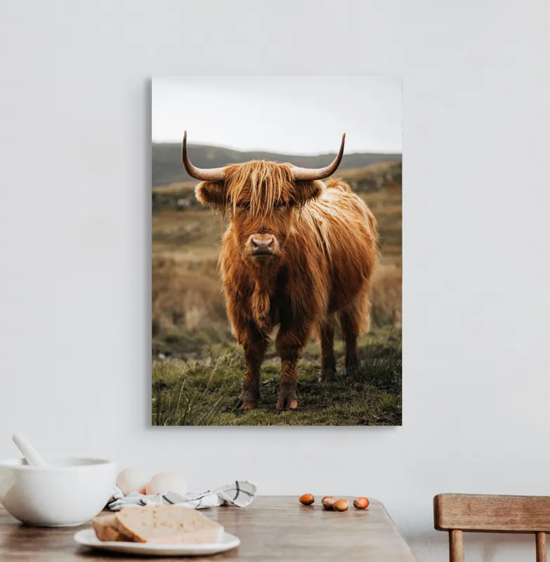 Tablou Canvas, "Boul în ceață pe coline verzi", Vaci, Dealuri, Blană, Coarne, Pășune, Natură, Cer, Animale, Peisaj, Rurale, 50 x 70 cm – poza 3
