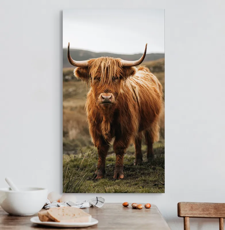 Tablou Canvas, "Boul în ceață pe coline verzi", Vaci, Dealuri, Blană, Coarne, Pășune, Natură, Cer, Animale, Peisaj, Rurale, 50 x 90 cm – poza 3