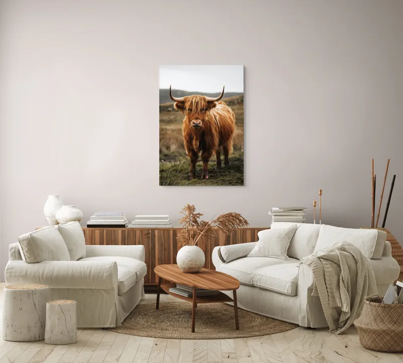 Tablou Canvas, "Boul în ceață pe coline verzi", Vaci, Dealuri, Blană, Coarne, Pășune, Natură, Cer, Animale, Peisaj, Rurale, 70 x 100 cm – poza 4