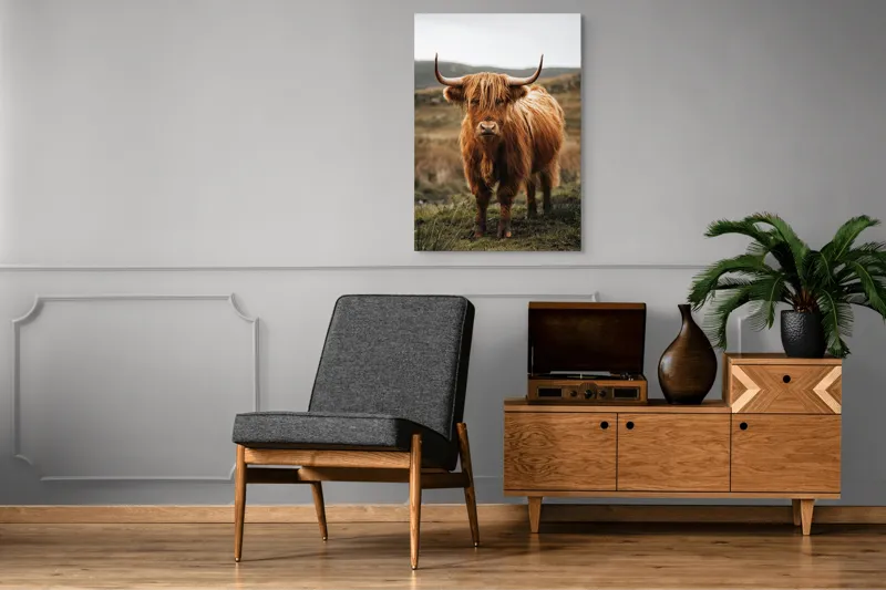 Tablou Canvas, "Boul în ceață pe coline verzi", Vaci, Dealuri, Blană, Coarne, Pășune, Natură, Cer, Animale, Peisaj, Rurale, 70 x 100 cm – poza 6