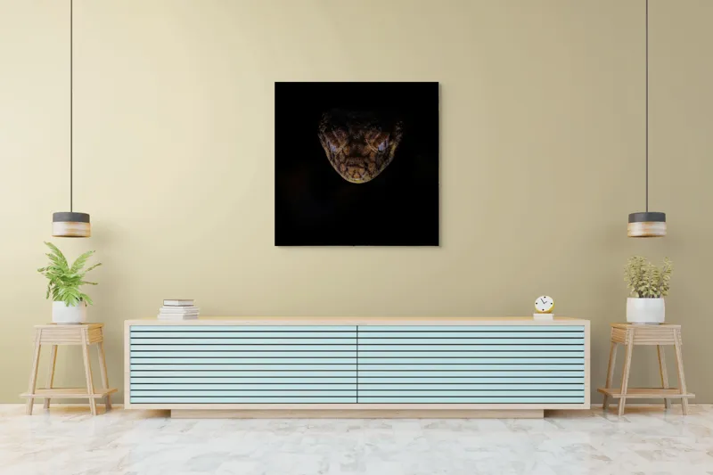 Tablou Canvas, "Șarpe în întunericul nopții", Îmi pare rău, nu pot să îți spun ce sau cine este în imagine., 100 x 100 cm – poza 5