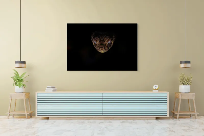 Tablou Canvas, "Șarpe în întunericul nopții", Îmi pare rău, nu pot să îți spun ce sau cine este în imagine., 150 x 100 cm – poza 6