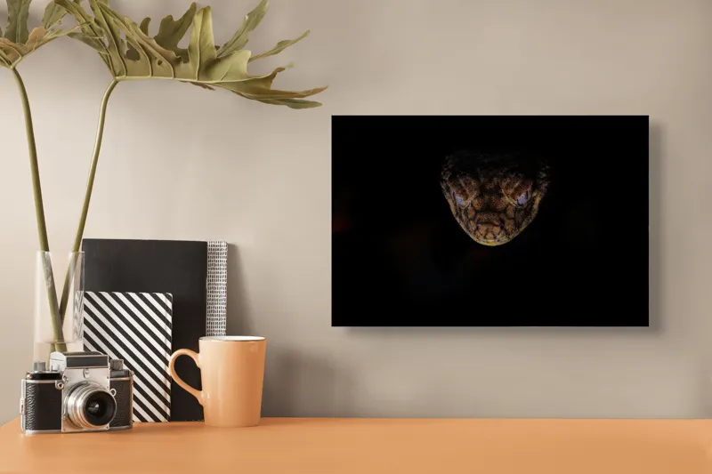 Tablou Canvas, "Șarpe în întunericul nopții", 39 x 26 cm – poza 3