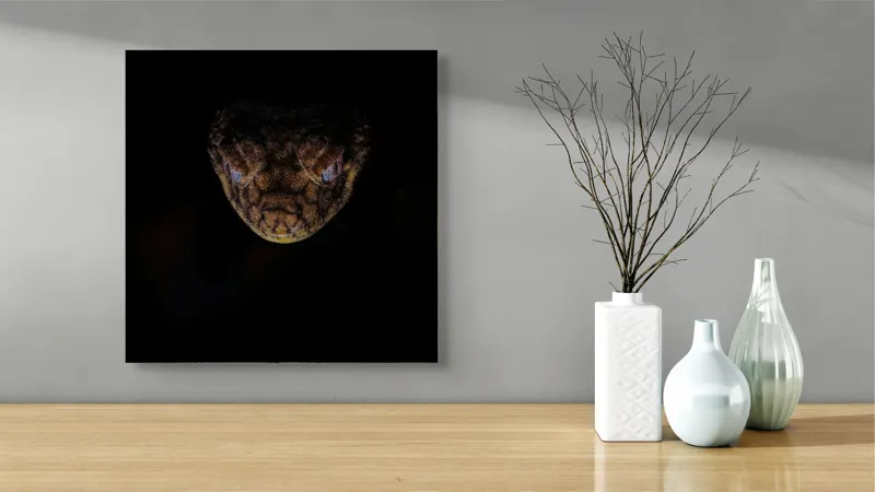 Tablou Canvas, "Șarpe în întunericul nopții", Îmi pare rău, nu pot să îți spun ce sau cine este în imagine., 50 x 50 cm – poza 3