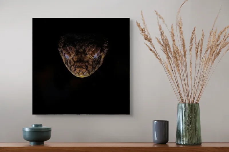 Tablou Canvas, "Șarpe în întunericul nopții", Îmi pare rău, nu pot să îți spun ce sau cine este în imagine., 50 x 50 cm – poza 4