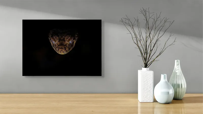 Tablou Canvas, "Șarpe în întunericul nopții", Îmi pare rău, nu pot să îți spun ce sau cine este în imagine., 54 x 39 cm – poza 3