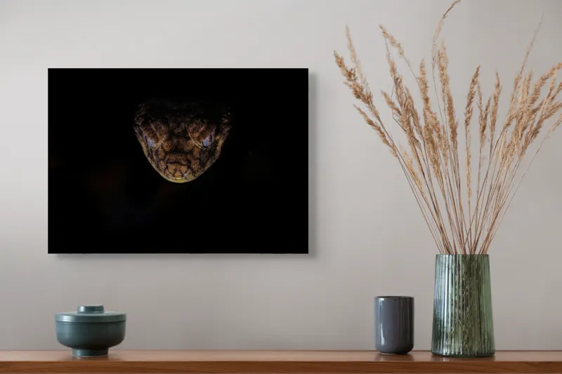 Tablou Canvas, "Șarpe în întunericul nopții", Îmi pare rău, nu pot să îți spun ce sau cine este în imagine., 54 x 39 cm – poza 4