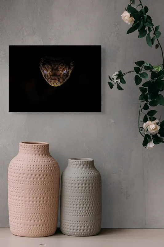 Tablou Canvas, "Șarpe în întunericul nopții", Îmi pare rău, nu pot să îți spun ce sau cine este în imagine., 54 x 39 cm – poza 8
