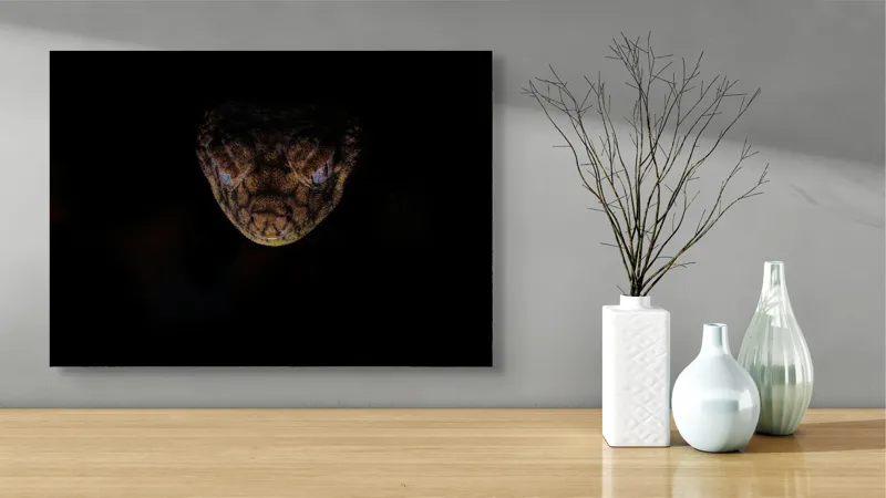 Tablou Canvas, "Șarpe în întunericul nopții", Îmi pare rău, nu pot să îți spun ce sau cine este în imagine., 70 x 50 cm – poza 3