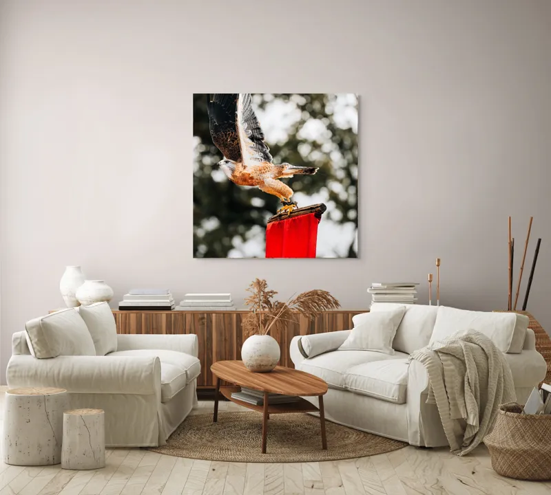 Tablou Canvas, "Zborul șoimului deasupra steagului roșu", Pasăre, Prădătoare, Zbor, Aripi, Cer, Natură, Agile, Vultur, Roșu, Fundal., 100 x 100 cm – poza 3