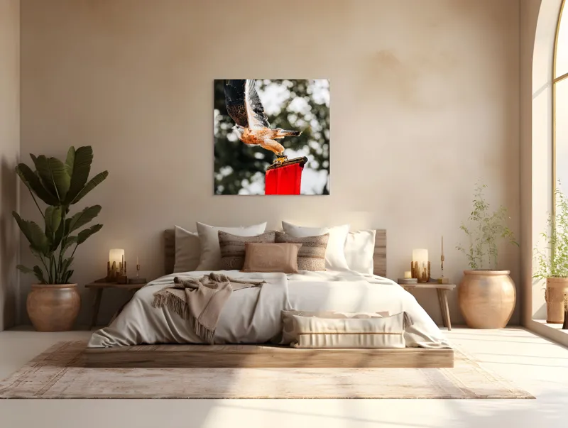 Tablou Canvas, "Zborul șoimului deasupra steagului roșu", Pasăre, Prădătoare, Zbor, Aripi, Cer, Natură, Agile, Vultur, Roșu, Fundal., 100 x 100 cm – poza 4