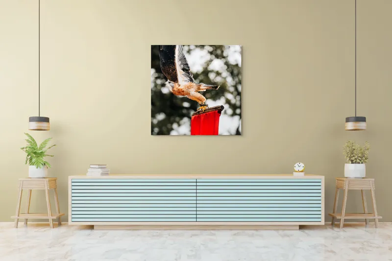Tablou Canvas, "Zborul șoimului deasupra steagului roșu", Pasăre, Prădătoare, Zbor, Aripi, Cer, Natură, Agile, Vultur, Roșu, Fundal., 100 x 100 cm – poza 5