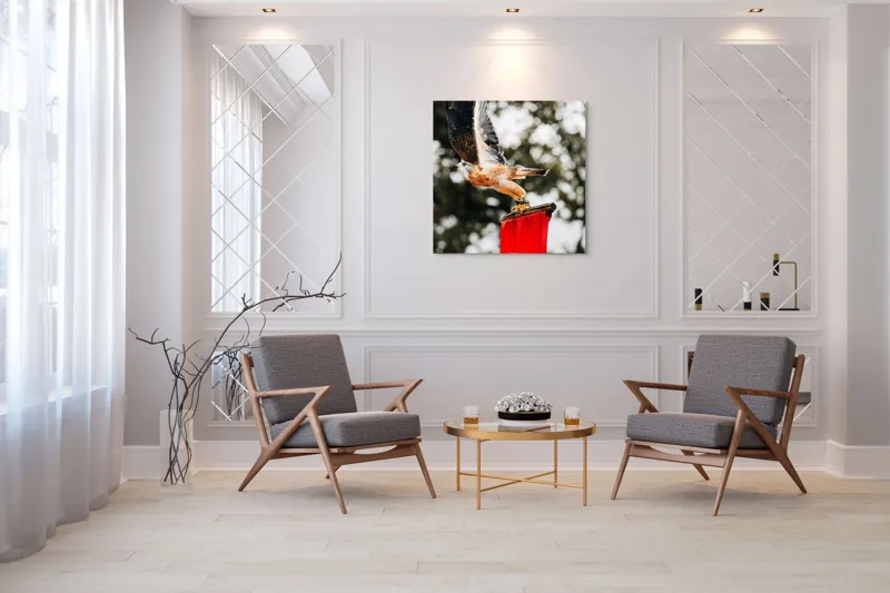 Tablou Canvas, "Zborul șoimului deasupra steagului roșu", Pasăre, Prădătoare, Zbor, Aripi, Cer, Natură, Agile, Vultur, Roșu, Fundal., 100 x 100 cm – poza 7
