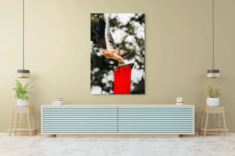 Tablou Canvas, "Zborul șoimului deasupra steagului roșu", Pasăre, Prădătoare, Zbor, Aripi, Cer, Natură, Agile, Vultur, Roșu, Fundal., 100 x 150 cm – poza 4