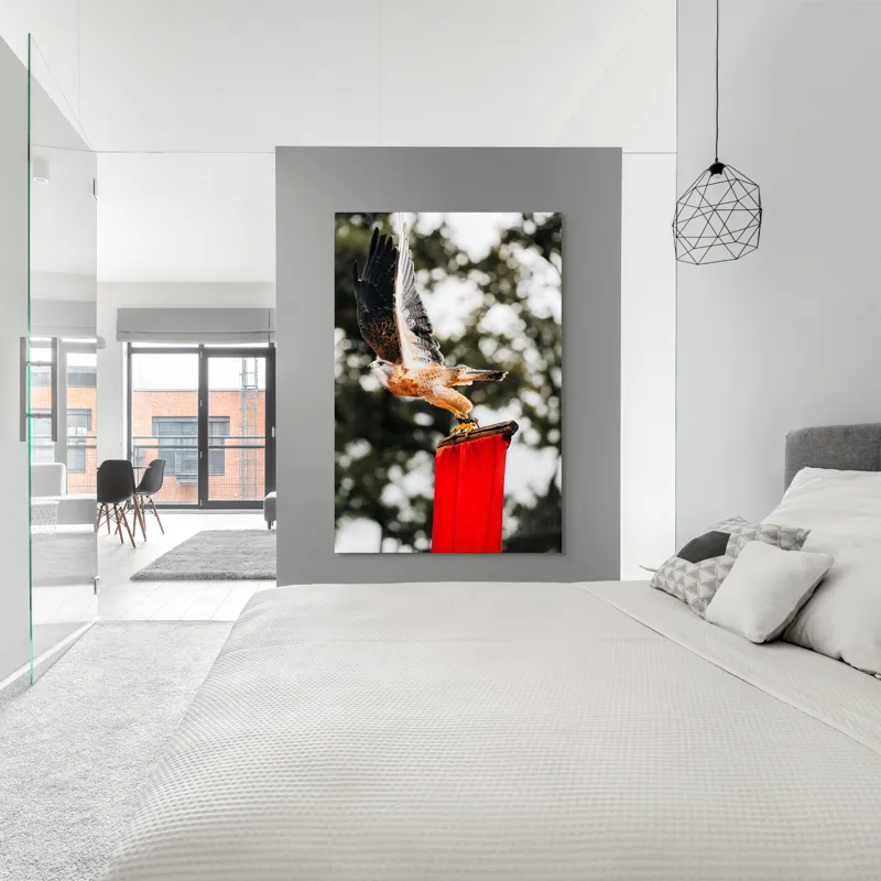 Tablou Canvas, "Zborul șoimului deasupra steagului roșu", Pasăre, Prădătoare, Zbor, Aripi, Cer, Natură, Agile, Vultur, Roșu, Fundal., 100 x 150 cm – poza 5