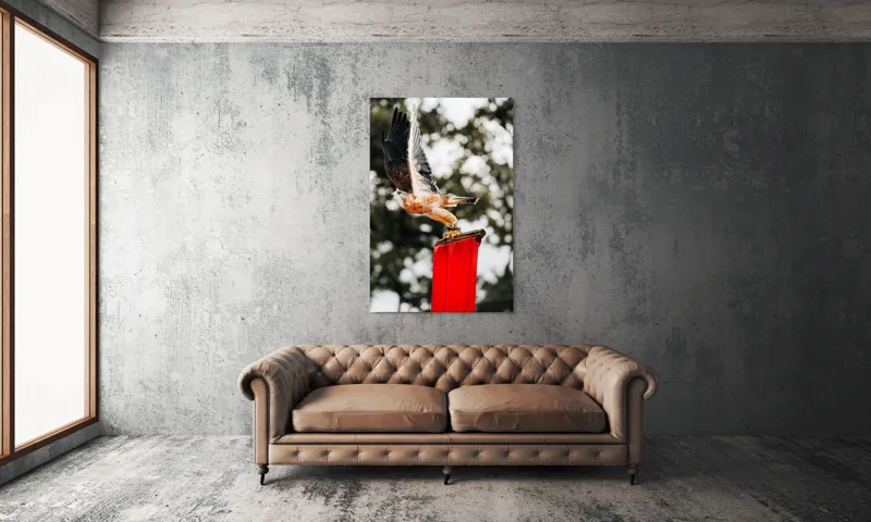 Tablou Canvas, "Zborul șoimului deasupra steagului roșu", Pasăre, Prădătoare, Zbor, Aripi, Cer, Natură, Agile, Vultur, Roșu, Fundal., 100 x 150 cm – poza 6