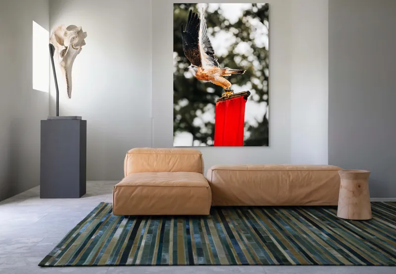 Tablou Canvas, "Zborul șoimului deasupra steagului roșu", Pasăre, Prădătoare, Zbor, Aripi, Cer, Natură, Agile, Vultur, Roșu, Fundal., 100 x 150 cm – poza 7