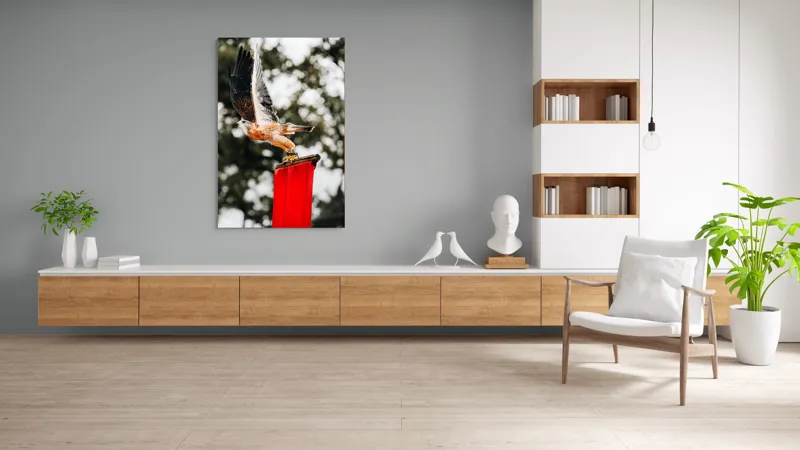 Tablou Canvas, "Zborul șoimului deasupra steagului roșu", Pasăre, Prădătoare, Zbor, Aripi, Cer, Natură, Agile, Vultur, Roșu, Fundal., 100 x 150 cm – poza 8