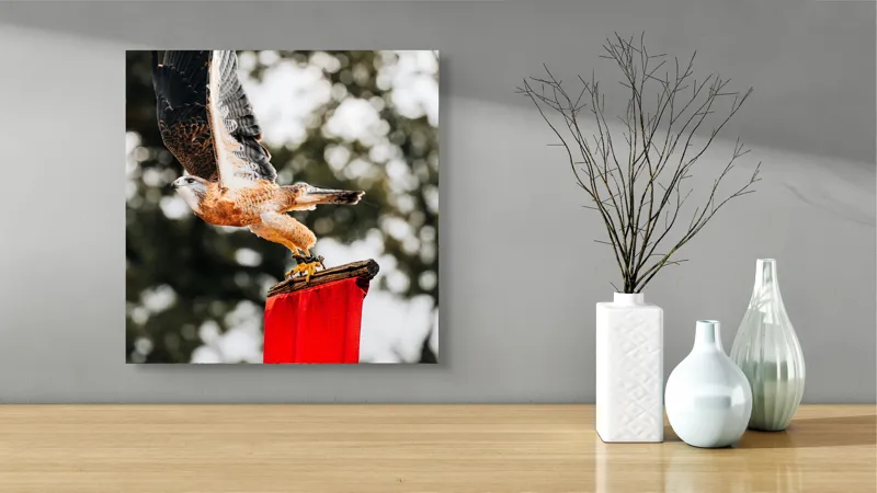 Tablou Canvas, "Zborul șoimului deasupra steagului roșu", Pasăre, Prădătoare, Zbor, Aripi, Cer, Natură, Agile, Vultur, Roșu, Fundal., 50 x 50 cm – poza 3
