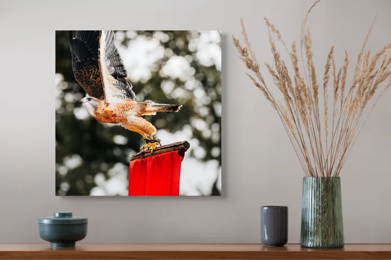 Tablou Canvas, "Zborul șoimului deasupra steagului roșu", Pasăre, Prădătoare, Zbor, Aripi, Cer, Natură, Agile, Vultur, Roșu, Fundal., 50 x 50 cm – poza 4
