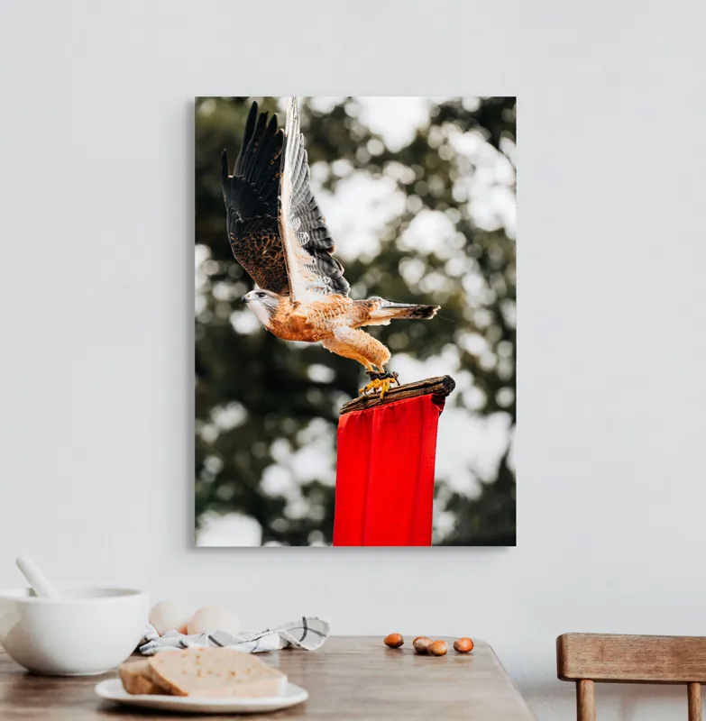 Tablou Canvas, "Zborul șoimului deasupra steagului roșu", Pasăre, Prădătoare, Zbor, Aripi, Cer, Natură, Agile, Vultur, Roșu, Fundal., 50 x 70 cm – poza 3