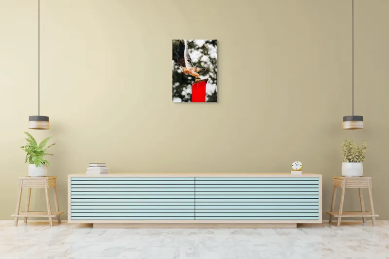 Tablou Canvas, "Zborul șoimului deasupra steagului roșu", Pasăre, Prădătoare, Zbor, Aripi, Cer, Natură, Agile, Vultur, Roșu, Fundal., 50 x 70 cm – poza 6