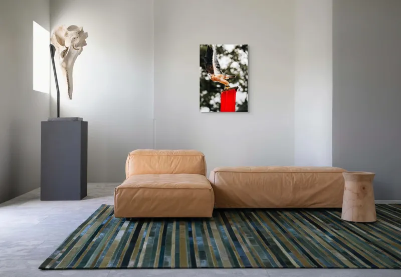 Tablou Canvas, "Zborul șoimului deasupra steagului roșu", Pasăre, Prădătoare, Zbor, Aripi, Cer, Natură, Agile, Vultur, Roșu, Fundal., 50 x 70 cm – poza 7