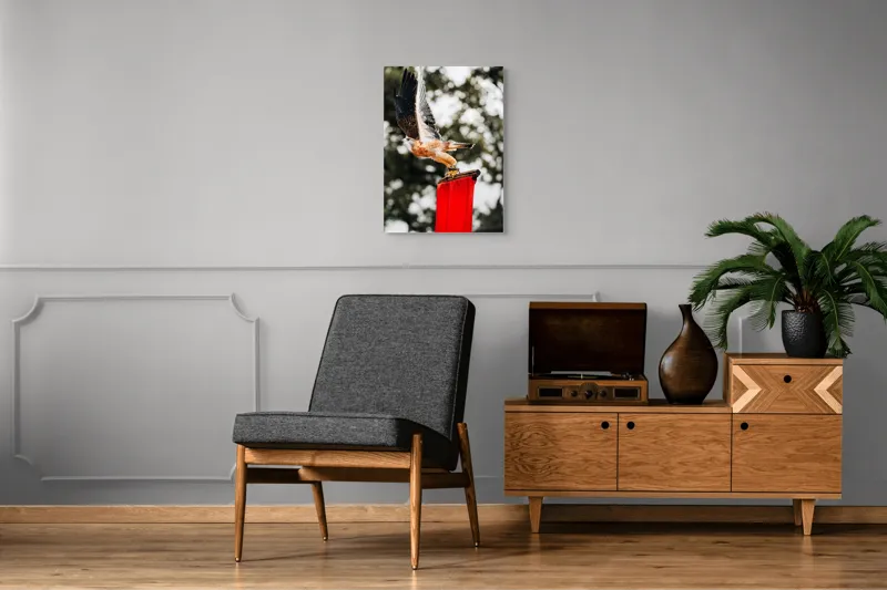 Tablou Canvas, "Zborul șoimului deasupra steagului roșu", Pasăre, Prădătoare, Zbor, Aripi, Cer, Natură, Agile, Vultur, Roșu, Fundal., 50 x 70 cm – poza 8