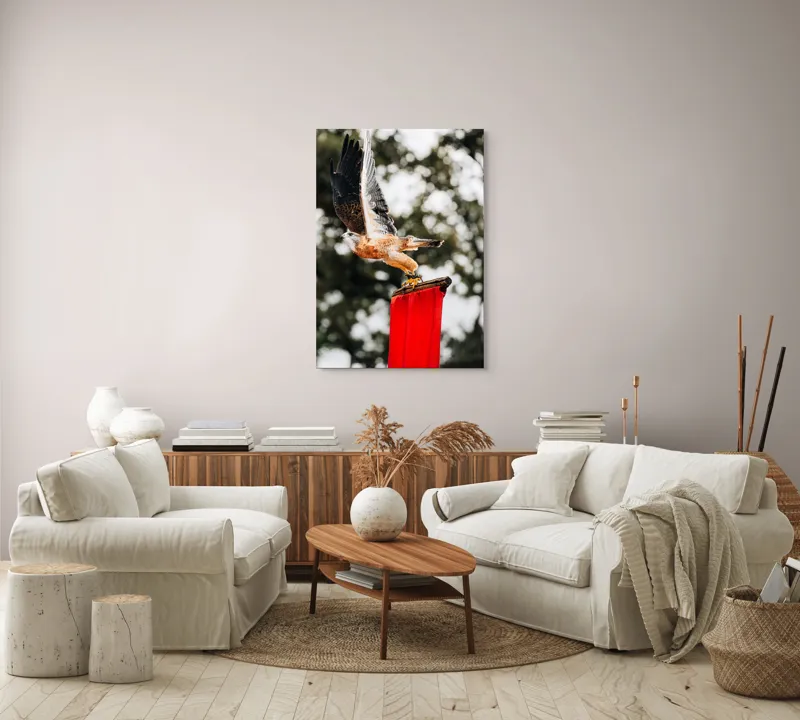 Tablou Canvas, "Zborul șoimului deasupra steagului roșu", Pasăre, Prădătoare, Zbor, Aripi, Cer, Natură, Agile, Vultur, Roșu, Fundal., 70 x 100 cm – poza 4